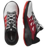 Чоловічі трейлові кросівки Salomon Alpha Glide GTX Lunar Rock на лісовій стежці