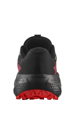 Кросівки Salomon Alpha Glide GTX Trail Running Lunar Rock