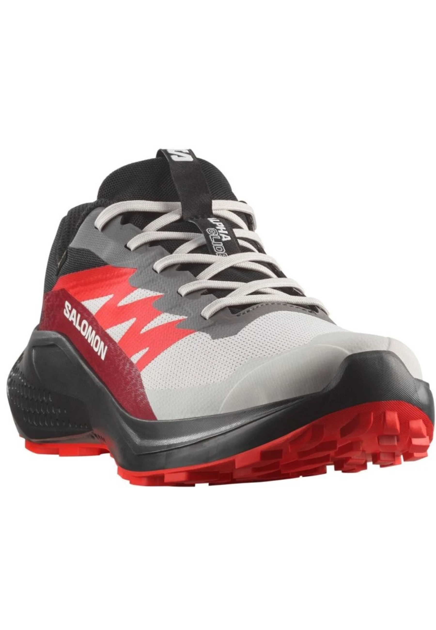 Чоловічі трейлові кросівки Salomon Alpha Glide GTX Lunar Rock на лісовій стежці