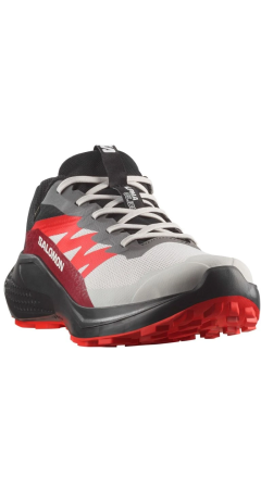 Кросівки Salomon Alpha Glide GTX Trail Running Lunar Rock
