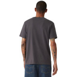 Образ с футболкой Levi's Classic Graphic Brin Music Inspired Phantom Black на концерте 2026