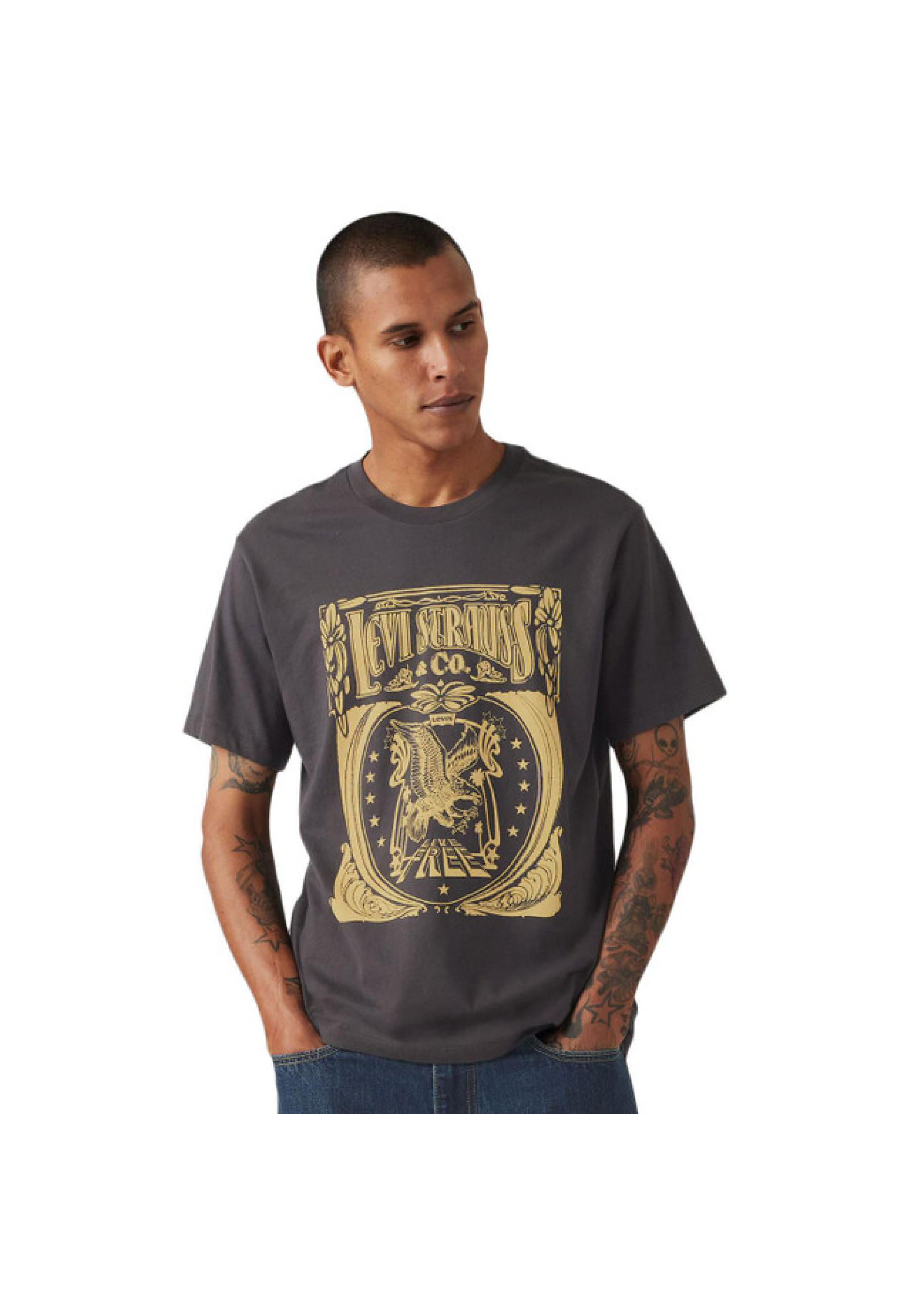 Образ с футболкой Levi's Classic Graphic Brin Music Inspired Phantom Black на концерте 2026