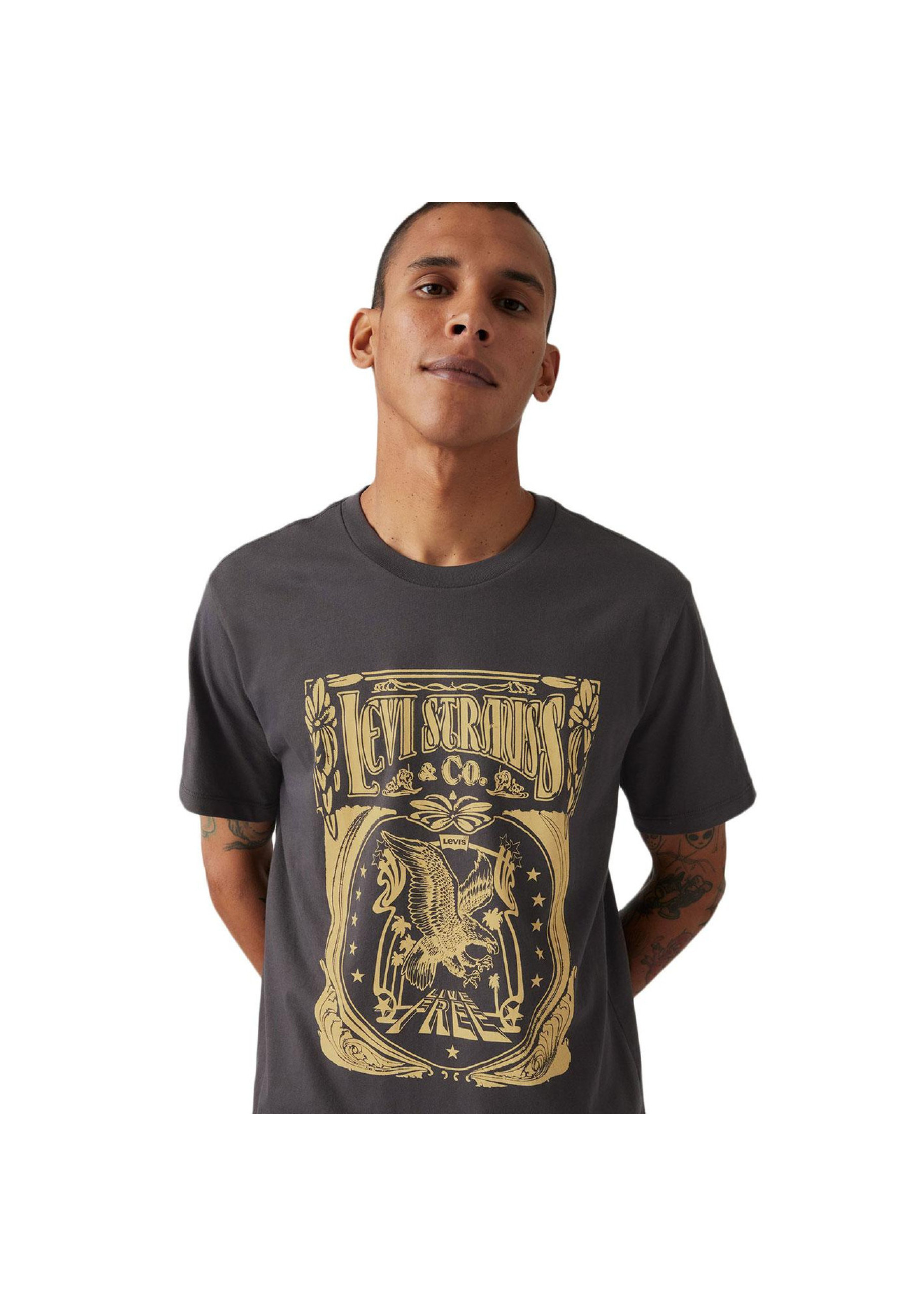 Образ с футболкой Levi's Classic Graphic Brin Music Inspired Phantom Black на концерте 2026