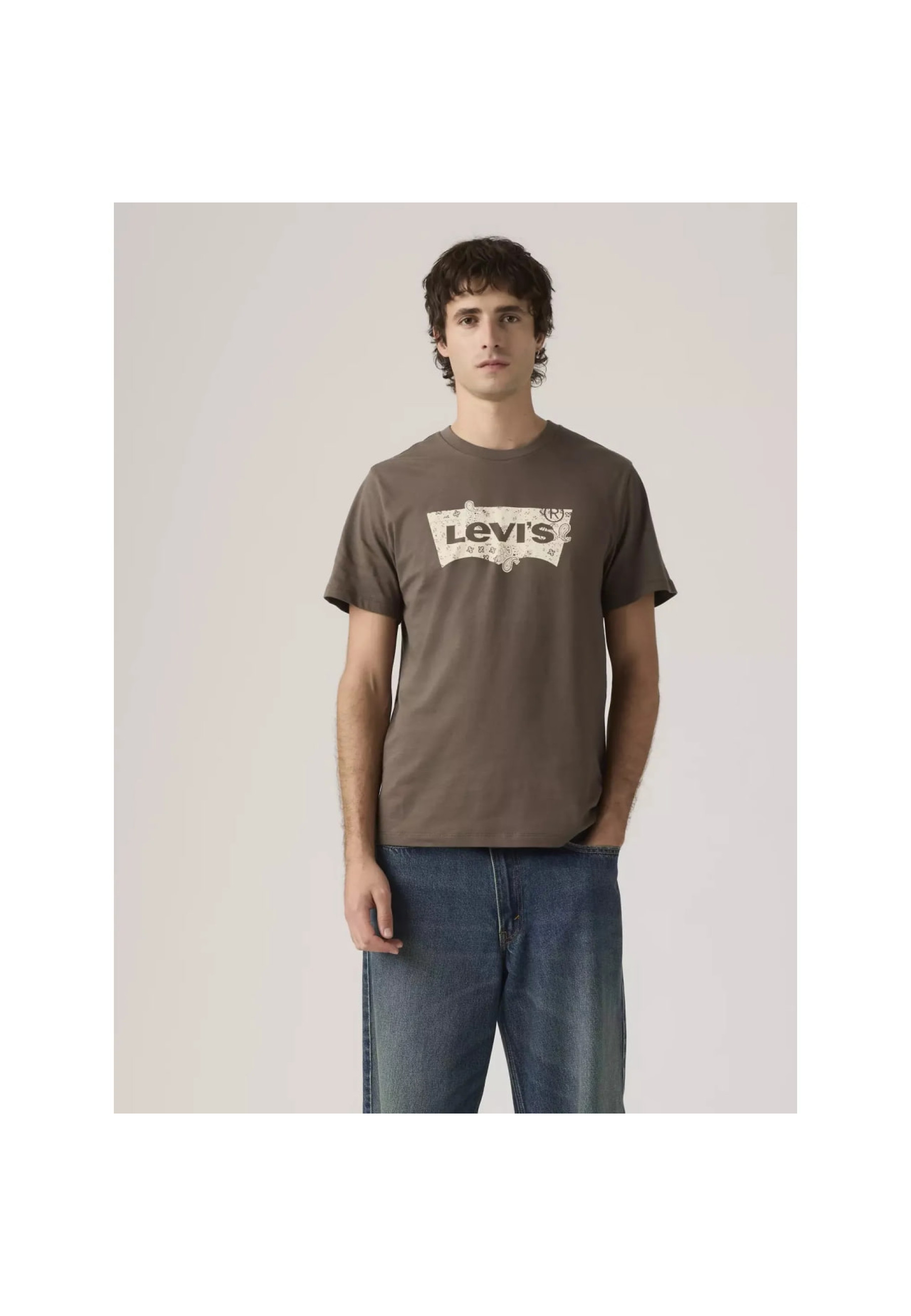 Levi's Standard Fit Classic Graphic T-Shirt in Bandana Egret Brown color, front view, Style 224912113