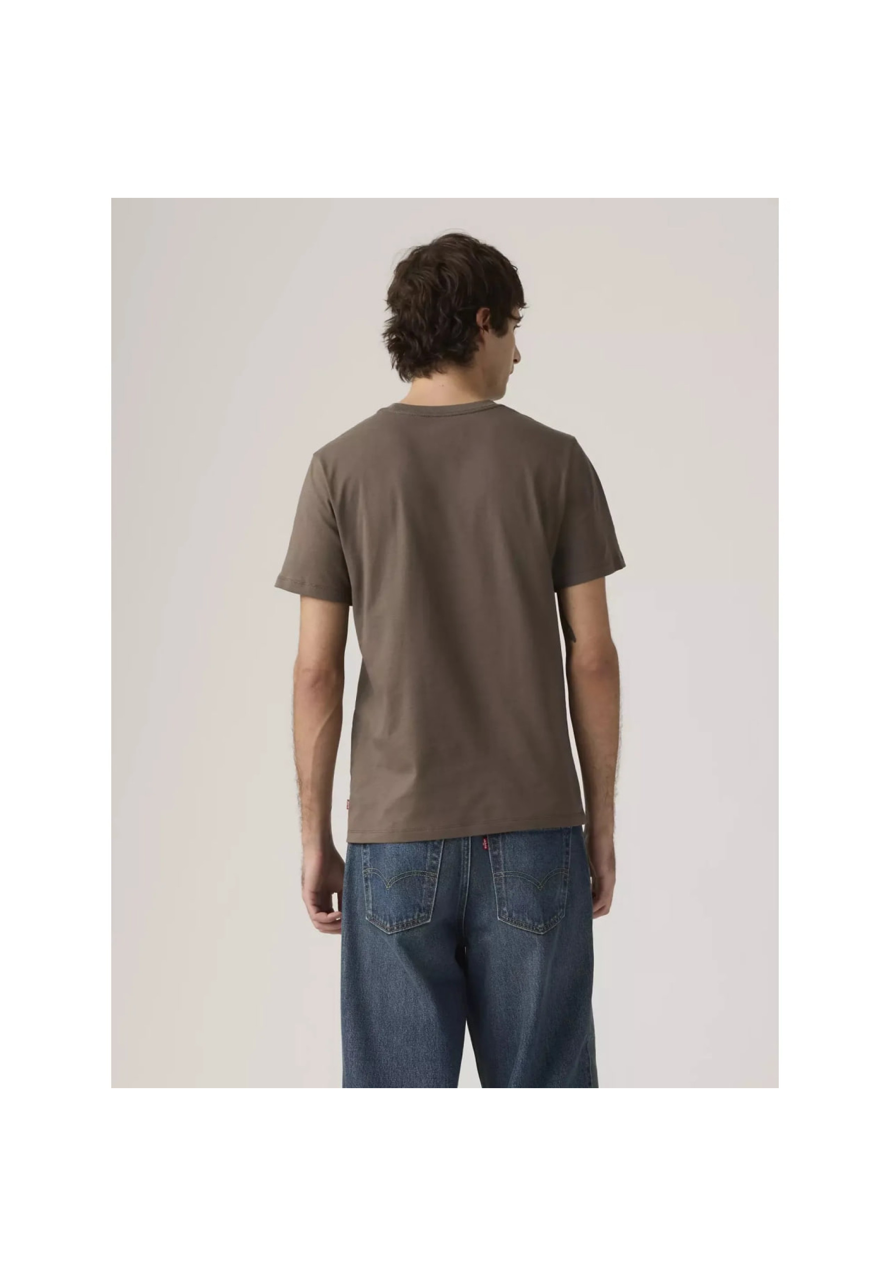 Levi's Standard Fit Classic Graphic T-Shirt in Bandana Egret Brown color, front view, Style 224912113