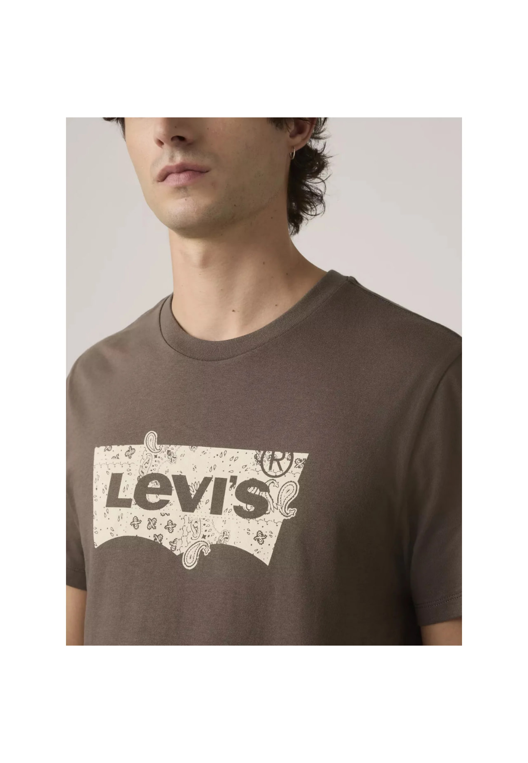 Levi's Standard Fit Classic Graphic T-Shirt in Bandana Egret Brown color, front view, Style 224912113