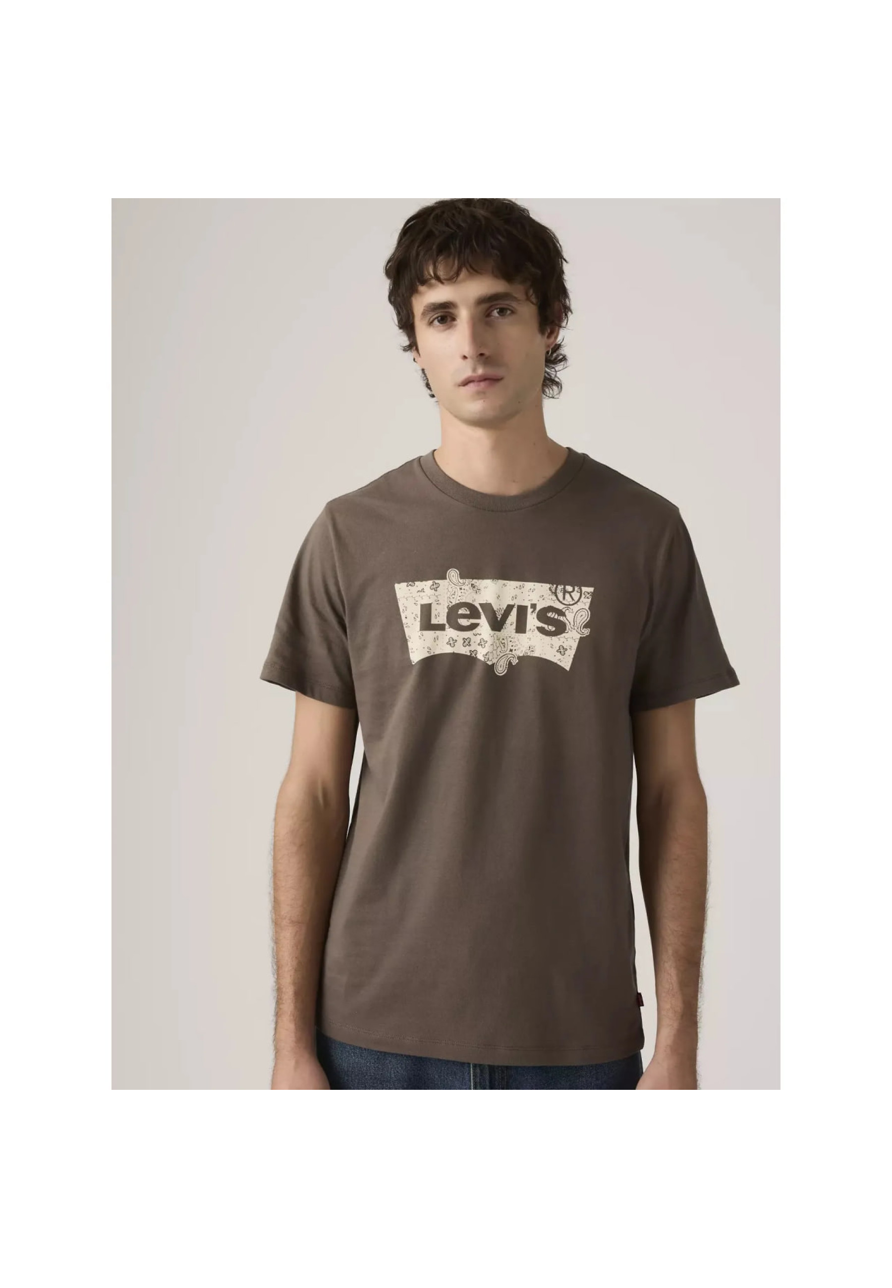 Levi's Standard Fit Classic Graphic T-Shirt in Bandana Egret Brown color, front view, Style 224912113