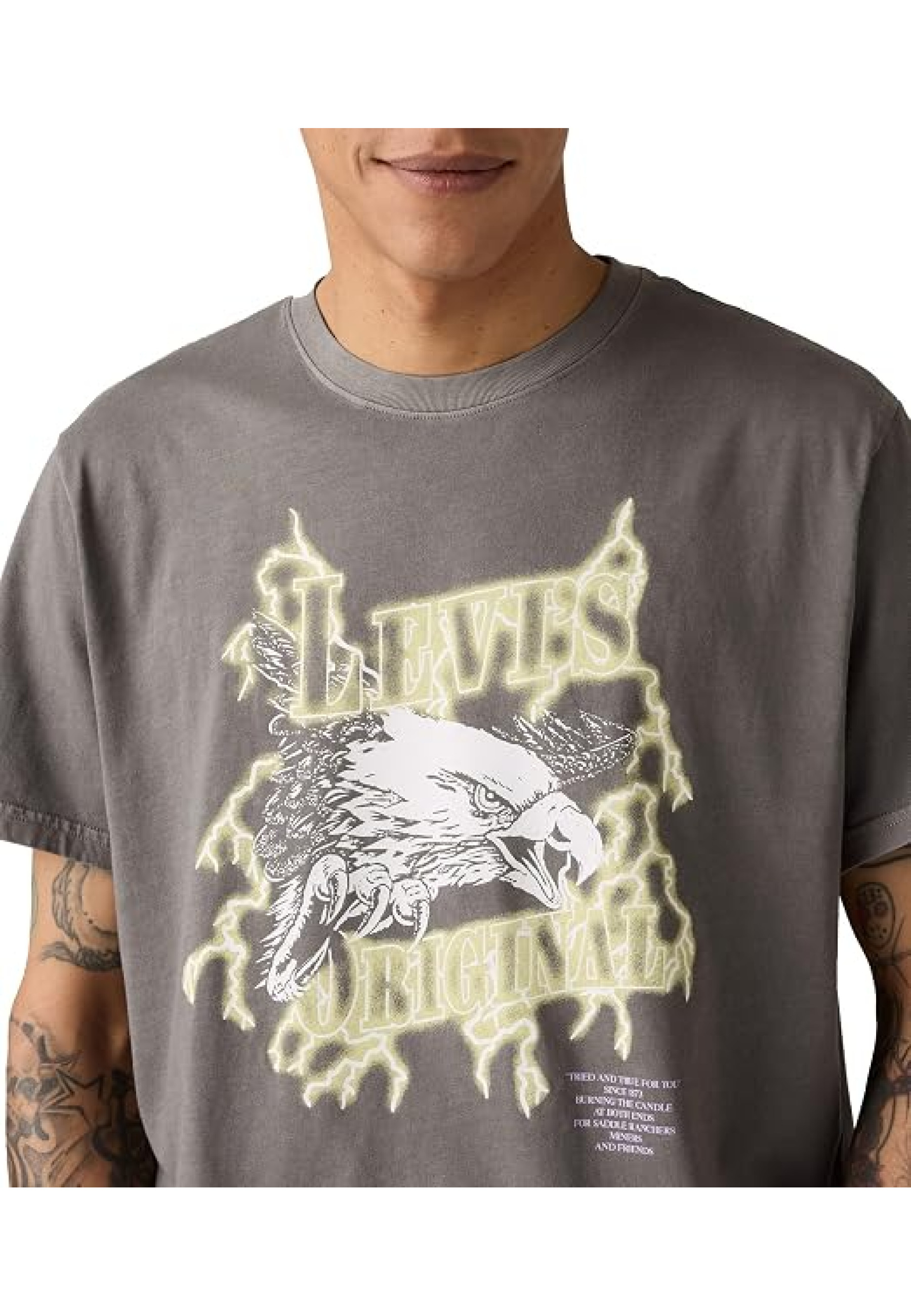 Levi's Ss Relaxed Fit Tee Style #161432064 in Lightning Eagle Smoked Pearl with graphic print