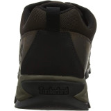 Чоловічі туристичні черевики Timberland Mt. Maddsen Waterproof Low Hiking Boot Brown
